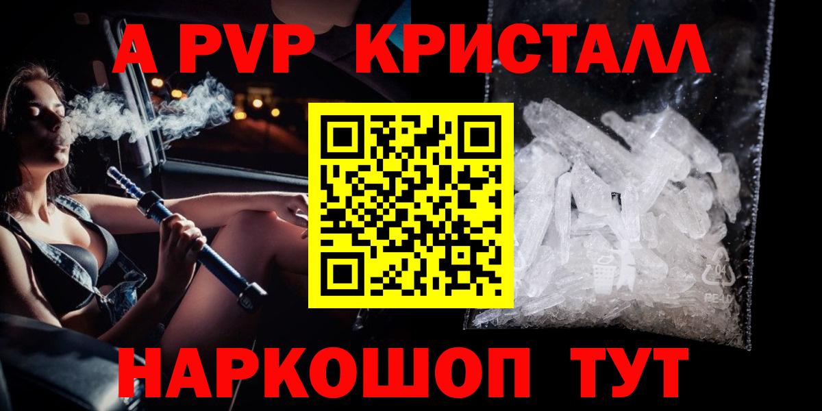 A PVP СК КРИС Сыктывкар