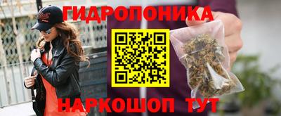 сатива Бузулук