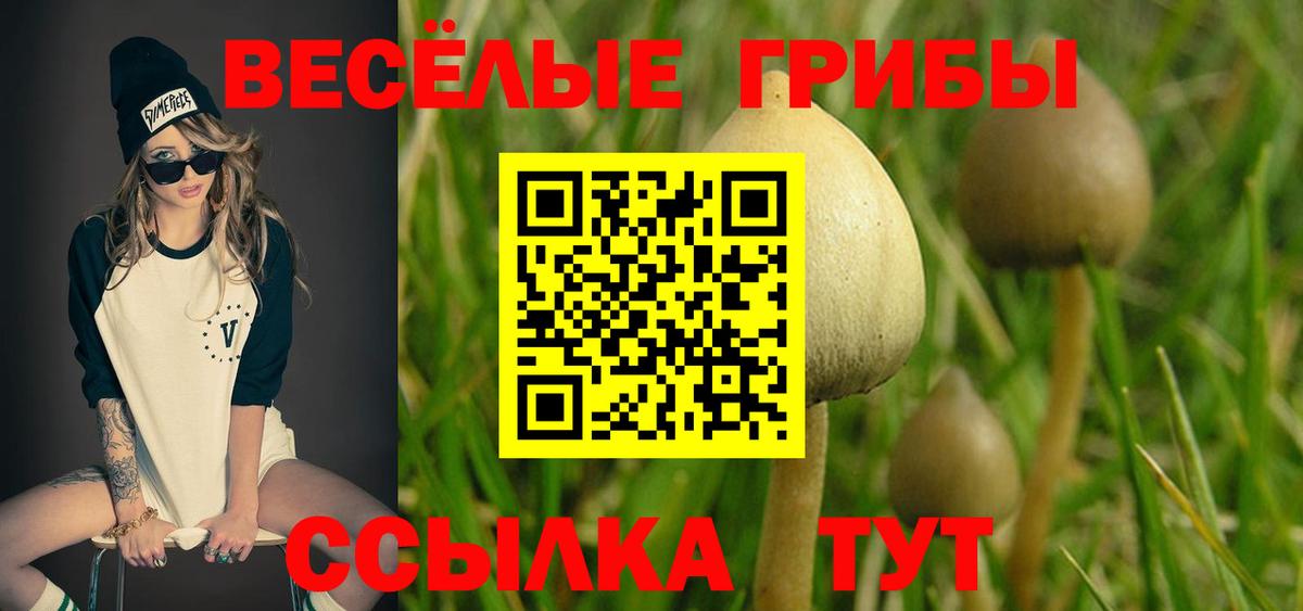Сыктывкар  Псилоцибиновые грибы Psilocybine cubensis  Галлюциногенные грибы Psilocybe  Вход с VPN 