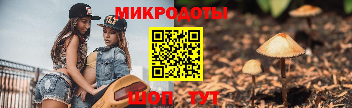Псилоцибиновые грибы Cubensis Сыктывкар