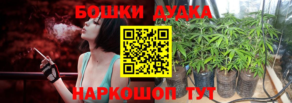 Бошки марихуана индика Сыктывкар